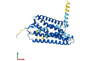 AlphaFold protein structure predicition of Human Recombinant OR8U8 Protein, UniprotID P0C7N1 (Olfactory Receptor, Family 8, Subfamily U, Member 8 (OR8U8) (AA 1-319) protein (His tag))