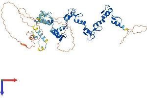 AlphaFold protein structure predicition of Human Recombinant ZNF548 Protein, UniprotID Q8NEK5