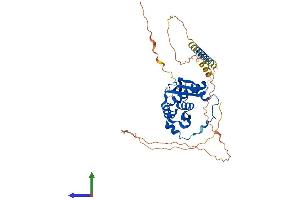 AlphaFold protein structure predicition of Human Recombinant RAD52 Protein, UniprotID P43351