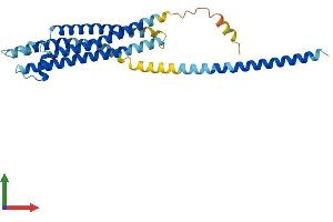 AlphaFold protein structure predicition of Human Recombinant STX2 Protein, UniprotID P32856