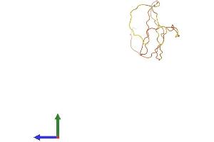 AlphaFold protein structure predicition of Human Recombinant SMCP Protein, UniprotID P49901