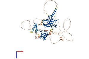 AlphaFold protein structure predicition of Human Recombinant GRHL2 Protein, UniprotID Q6ISB3