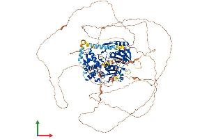 AlphaFold protein structure predicition of Mouse Recombinant Dennd1a Protein, UniprotID Q8K382