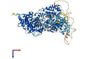 AlphaFold protein structure predicition of Mouse Recombinant Phka2 Protein, UniprotID Q8BWJ3