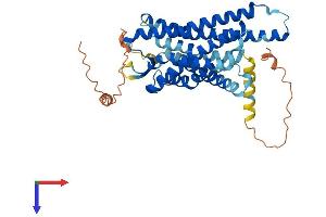AlphaFold protein structure predicition of Mouse Recombinant Prokr1 Protein, UniprotID Q9JKL1