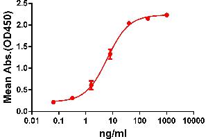 ELISA plate pre-coated by 2 μg/mL (100 μL/well) Human GD protein, hFc-His tagged protein (ABIN6961124, ABIN7042277 and ABIN7042278) can bind Rabbit anti-GD monoclonal antibody (clone: DM61) in a linear range of 1-100 ng/mL.