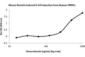 SDS-PAGE of Mouse Resistin Dimer Recombinant Protein Bioactivity of Mouse Resistin Dimer Recombinant Protein. (Resistin Dimer Protéine)