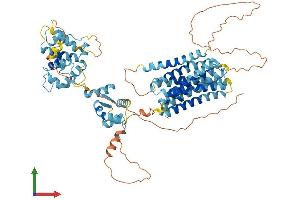 AlphaFold protein structure predicition of Human Recombinant SLC39A12 Protein, UniprotID Q504Y0