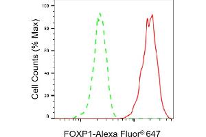 Flow cytometric analysis of FOXP1 expression in HT- cells using FOXP1 antibody (ABIN7798652), 1:2,000).