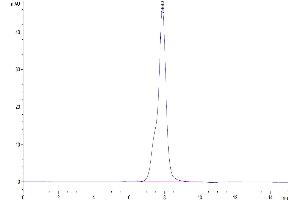 The purity of Human Osteoactivin is greater than 95 % as determined by SEC-HPLC.