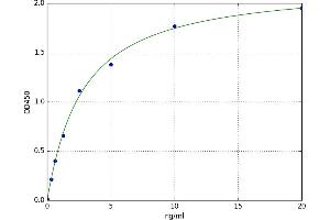 A typical standard curve (RNASET2 Kit ELISA)