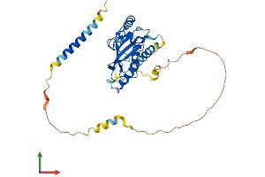 AlphaFold protein structure predicition of Human Recombinant UBE2J1 Protein, UniprotID Q9Y385