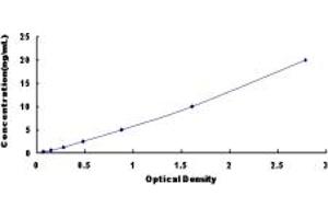 Typical standard curve (Retinoic Acid Receptor alpha Kit ELISA)