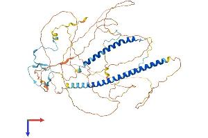 AlphaFold protein structure predicition of Mouse Recombinant Msl1 Protein, UniprotID Q6PDM1