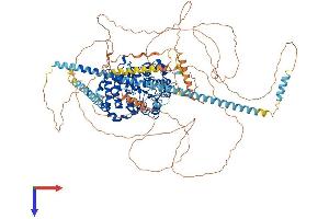 AlphaFold protein structure predicition of Human Recombinant HDAC5 Protein, UniprotID Q9UQL6