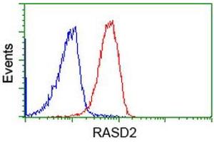 Image no. 2 for anti-RASD Family, Member 2 (RASD2) antibody (ABIN1500697)