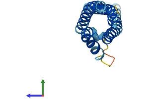 AlphaFold protein structure predicition of Human Recombinant CNIH2 Protein, UniprotID Q6PI25