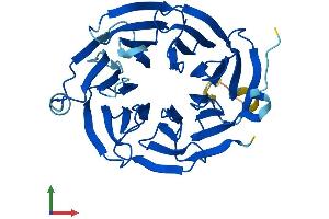 AlphaFold protein structure predicition of Mouse Recombinant Eif3i Protein, UniprotID Q9QZD9