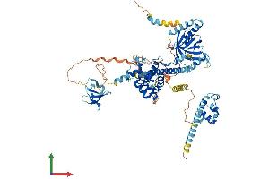 AlphaFold protein structure predicition of Mouse Recombinant Eps8l1 Protein, UniprotID Q8R5F8