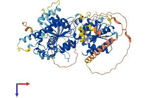 AlphaFold protein structure predicition of Human Recombinant UTP25 Protein, UniprotID Q68CQ4
