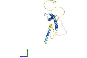 AlphaFold protein structure predicition of Human Recombinant MXI1 Protein, UniprotID P50539