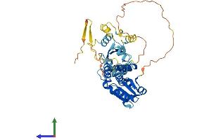 AlphaFold protein structure predicition of Mouse Recombinant Dusp6 Protein, UniprotID Q9DBB1
