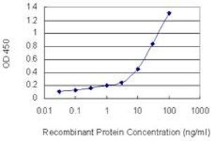 Detection limit for recombinant GST tagged PNN is 0. (PNN anticorps  (AA 201-300))