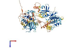 AlphaFold protein structure predicition of Mouse Recombinant Rps6ka4 Protein, UniprotID Q9Z2B9