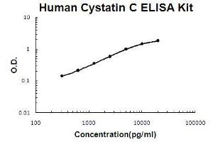 Human Cystatin C PicoKine ELISA Kit standard curve (CST3 Kit ELISA)