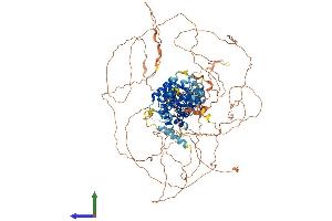 AlphaFold protein structure predicition of Human Recombinant SEC16B Protein, UniprotID Q96JE7