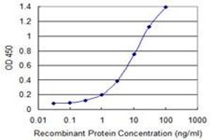 Detection limit for recombinant GST tagged RELT is 0. (RELT anticorps  (AA 26-124))