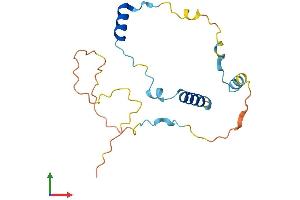 AlphaFold protein structure predicition of Mouse Recombinant Mea1 Protein, UniprotID Q64327