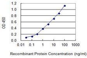 Detection limit for recombinant GST tagged ZNF585A is 0. (ZNF585A anticorps  (AA 1-113))