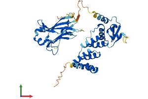 AlphaFold protein structure predicition of Mouse Recombinant Tdpoz1 Protein, UniprotID P0DMR5