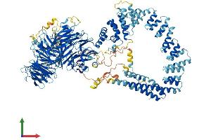 AlphaFold protein structure predicition of Human Recombinant ELP1 Protein, UniprotID O95163