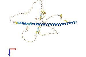 AlphaFold protein structure predicition of Mouse Recombinant Jund Protein, UniprotID P15066