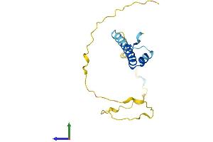 AlphaFold protein structure predicition of Mouse Recombinant Snrpc Protein, UniprotID Q62241