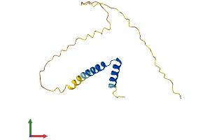 AlphaFold protein structure predicition of Human Recombinant TXLNGY Protein, UniprotID Q9BZA5