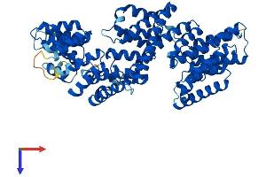 AlphaFold protein structure predicition of Human Recombinant IFT70A Protein, UniprotID Q86WT1