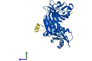 AlphaFold protein structure predicition of Human Recombinant AP3M1 Protein, UniprotID Q9Y2T2