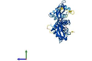 AlphaFold protein structure predicition of Human Recombinant PRKAG1 Protein, UniprotID P54619