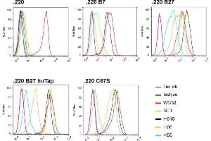 Flow cytometry analysis of HD5 and control antibodies (i. (HLA Class I Heavy Chain anticorps)