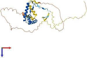 AlphaFold protein structure predicition of Human Recombinant SOX21 Protein, UniprotID Q9Y651