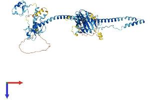 AlphaFold protein structure predicition of Human Recombinant TRIM36 Protein, UniprotID Q9NQ86