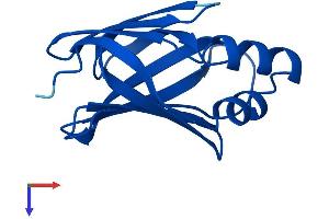 AlphaFold protein structure predicition of Mouse Recombinant Crabp2 Protein, UniprotID P22935