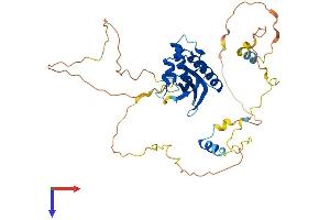 AlphaFold protein structure predicition of Human Recombinant HS1BP3 Protein, UniprotID Q53T59