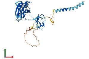 AlphaFold protein structure predicition of Human Recombinant CGRRF1 Protein, UniprotID Q99675