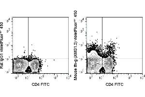 C57Bl/6 splenocytes were stimulated with PMA and Ionomycin and then stained with FITC Anti-Mouse CD4 (ABIN6961823), followed by intracellular staining with 0.