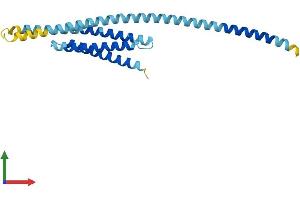 AlphaFold protein structure predicition of Human Recombinant BNIP1 Protein, UniprotID Q12981