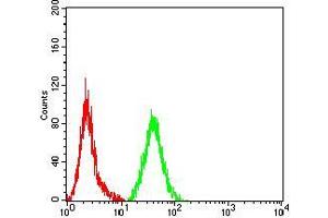 Flow cytometric analysis of Hela cells using MMP2 mouse mAb (green) and negative control (red).